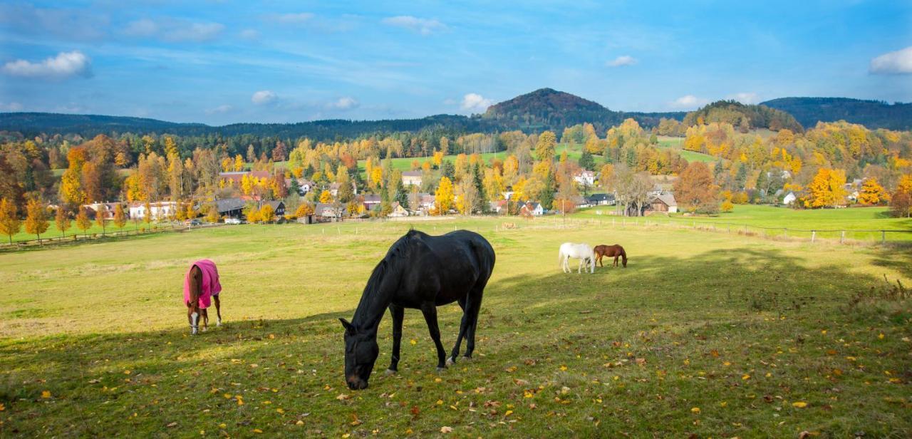 Penzion Na Stodolci Chřibská Esterno foto